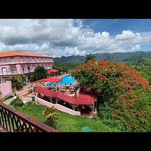 Meet your Posher, Daniel